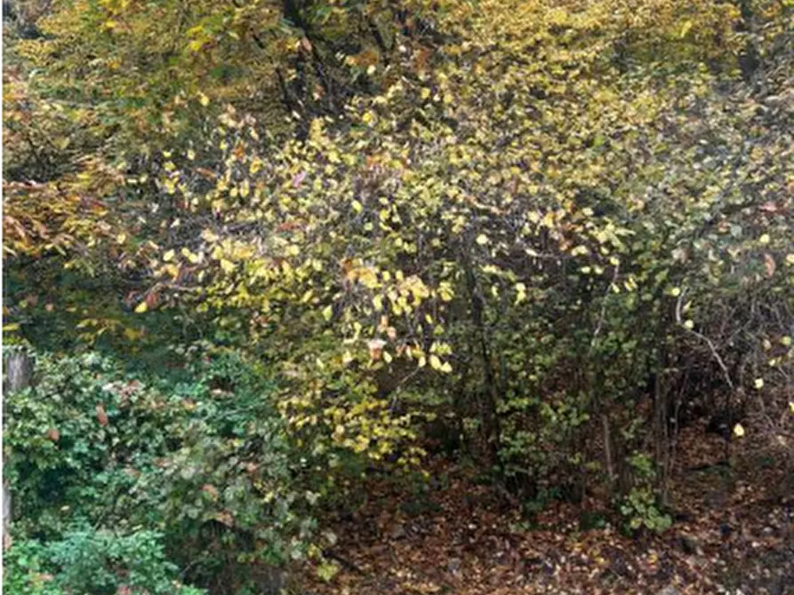 Immagine 21 di Casa bifamiliare in vendita  in Via Panoramica a Gardone Riviera