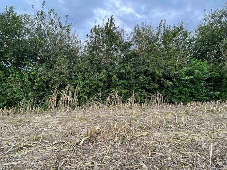 Immagine 3 di Terreno agricolo in vendita  in Via Tommaso Edison a Settimo Milanese