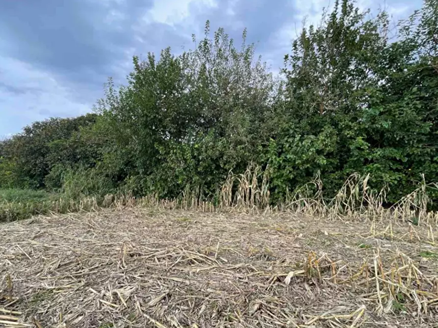 Immagine 4 di Terreno agricolo in vendita  in Via Tommaso Edison a Settimo Milanese