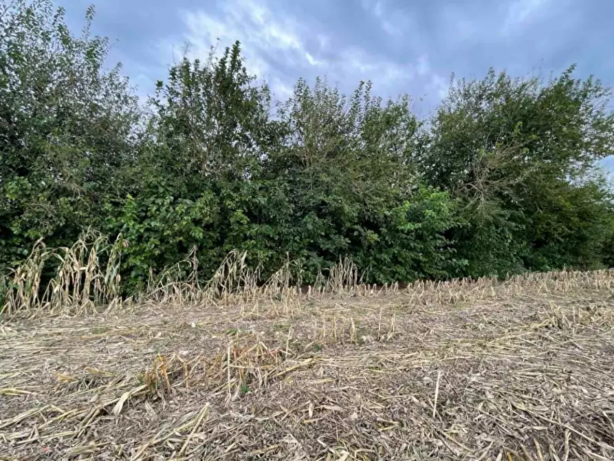 Immagine 5 di Terreno agricolo in vendita  in Via Tommaso Edison a Settimo Milanese