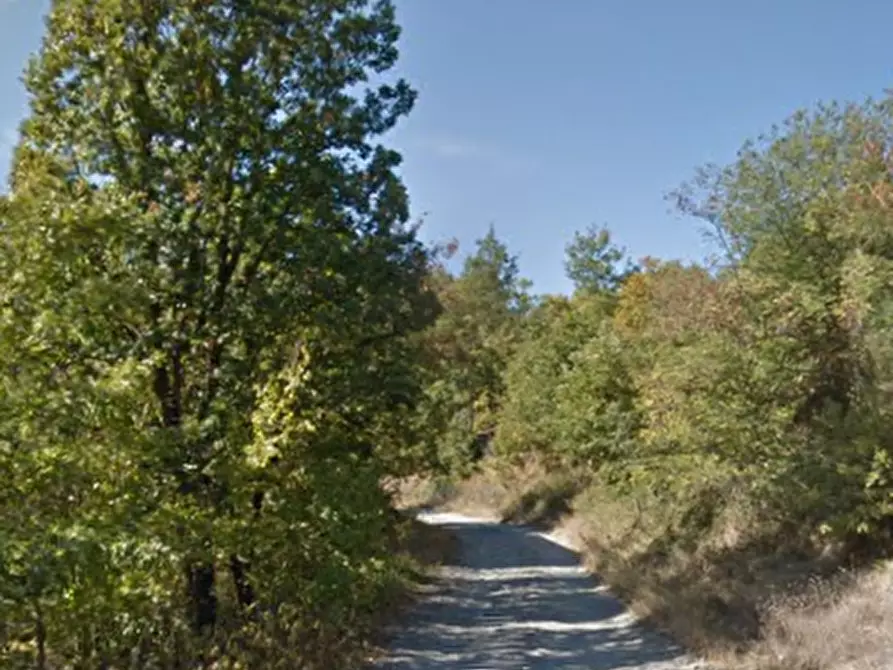 Immagine 5 di Porzione di casa in vendita  in Via Fondovalle Vecchia a Pavullo Nel Frignano