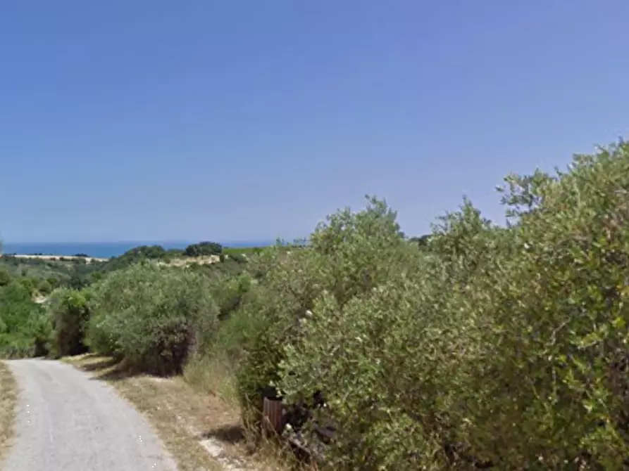 Immagine 4 di Villa in vendita  in Contrada Barbolano a Altidona