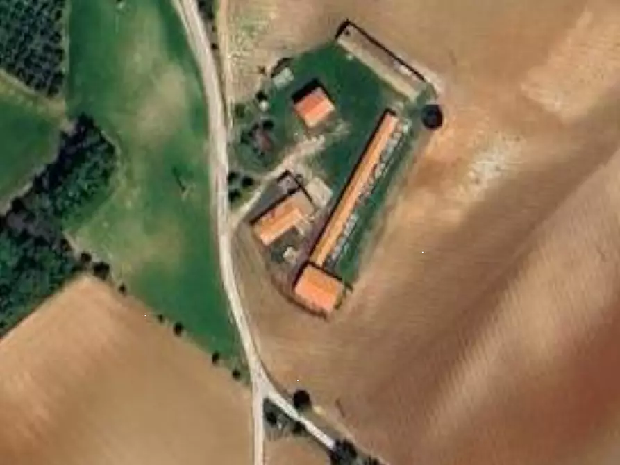 Immagine 6 di Villa in vendita  in Contrada Barbolano a Altidona