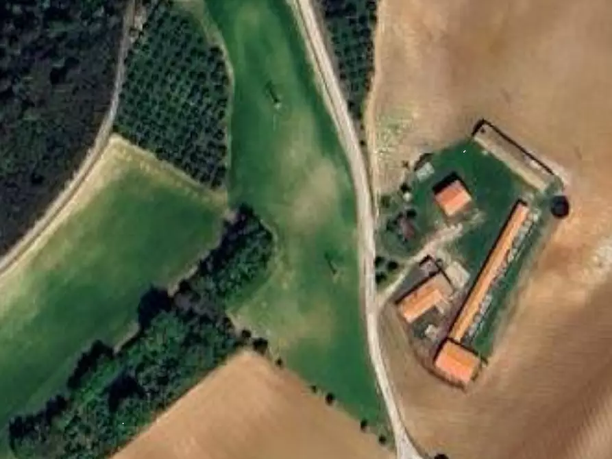 Immagine 9 di Villa in vendita  in Contrada Barbolano a Altidona