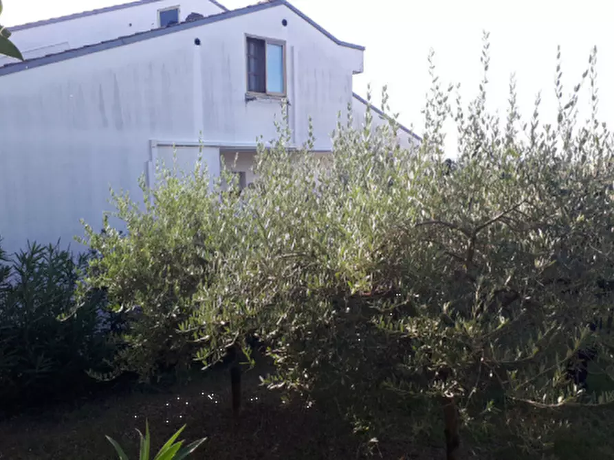 Immagine 15 di Stabile in vendita  in Via G. Moschini  a Sant'elpidio A Mare