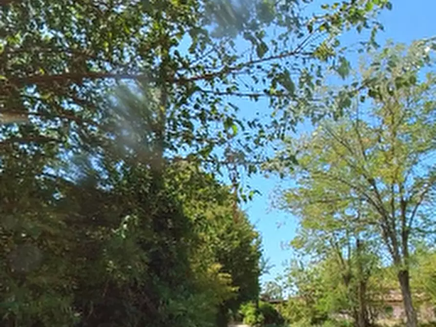 Immagine 5 di Casa indipendente in vendita  in Strada della Costa Rosa a Castel San Giovanni