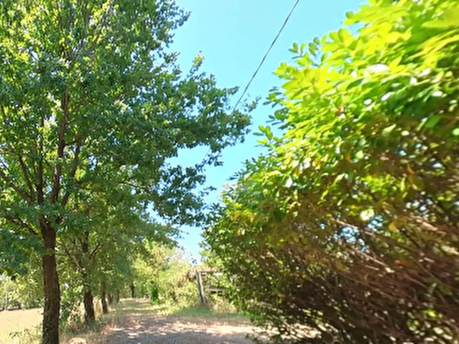 Immagine 6 di Casa indipendente in vendita  in Strada della Costa Rosa a Castel San Giovanni