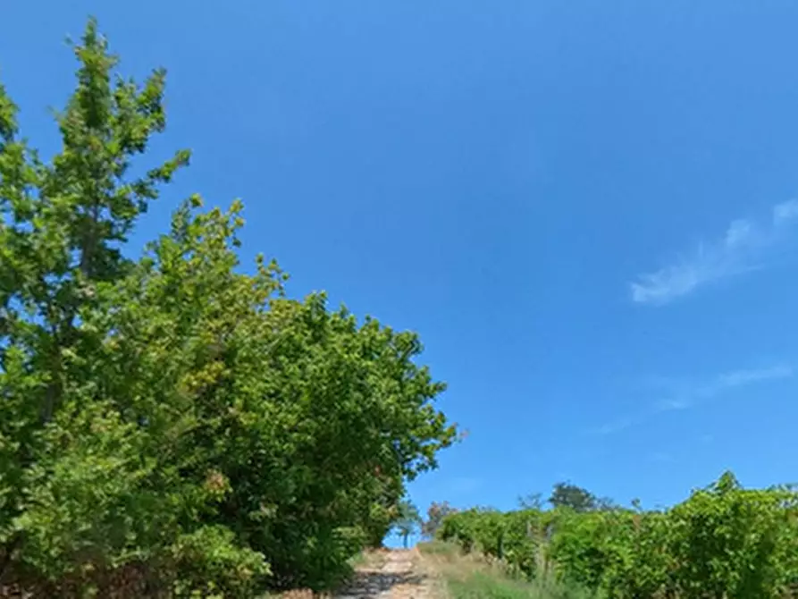Immagine 20 di Casa indipendente in vendita  in Strada della Costa Rosa a Castel San Giovanni