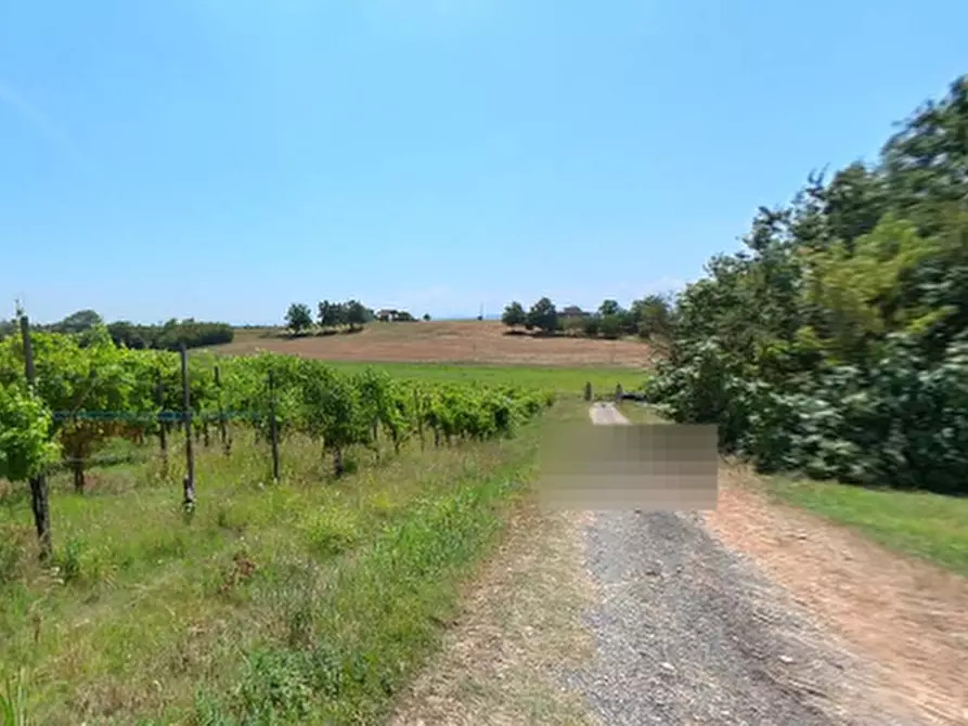Immagine 21 di Casa indipendente in vendita  in Strada della Costa Rosa a Castel San Giovanni