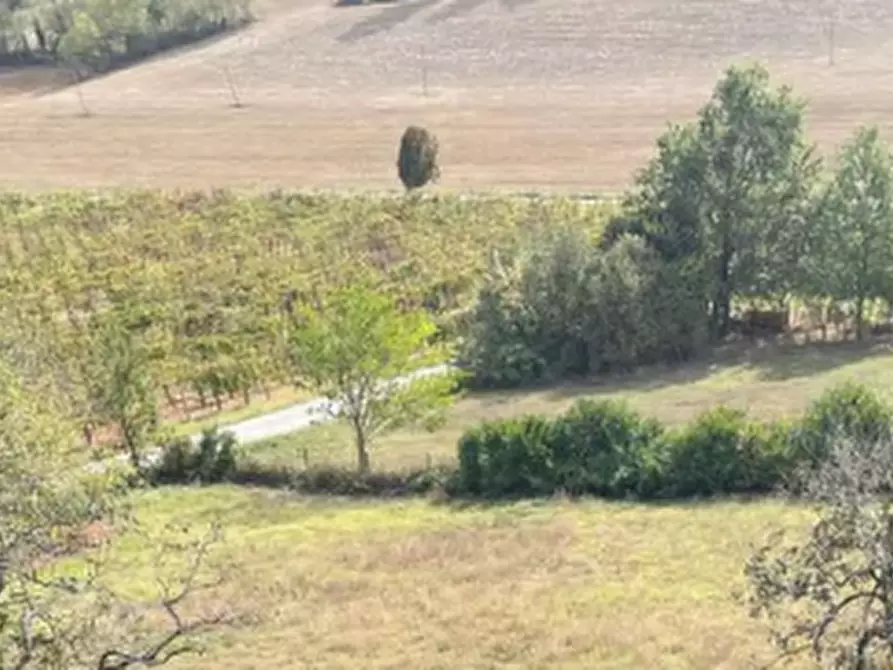 Immagine 36 di Casa indipendente in vendita  in Strada della Costa Rosa a Castel San Giovanni
