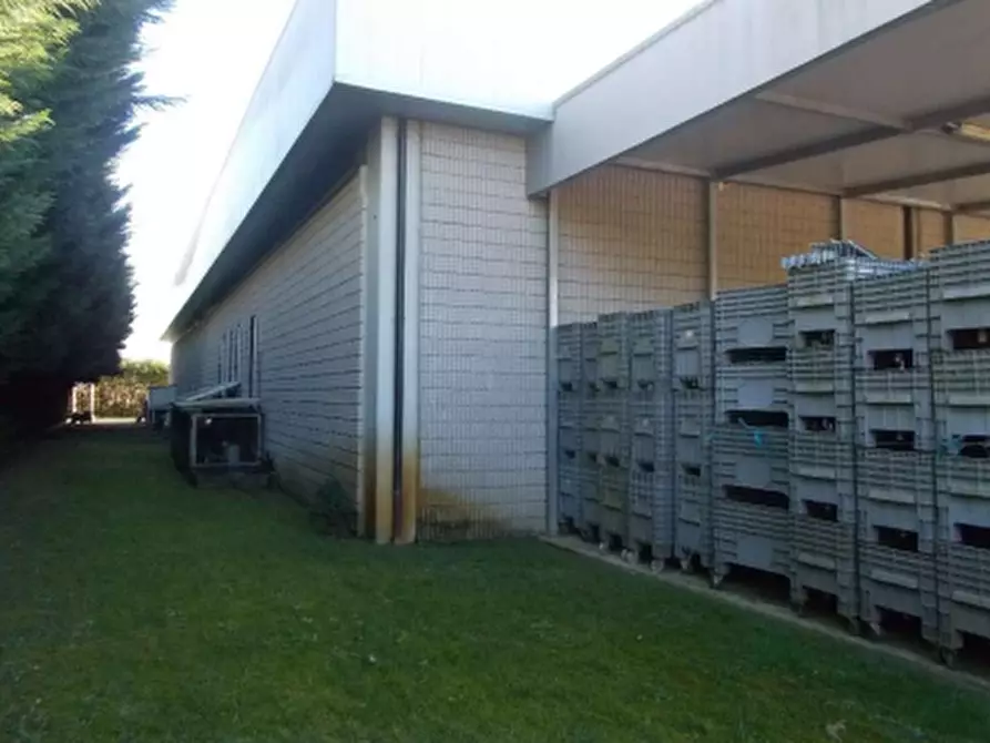 Immagine 3 di Capannone industriale in vendita  in Via Regia  a Vigonza