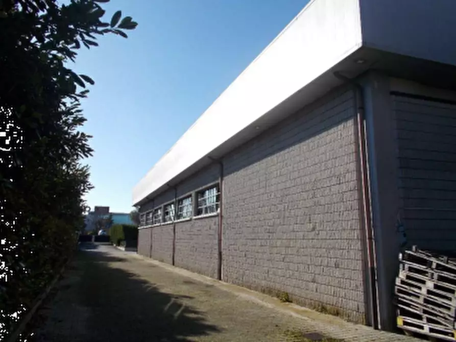 Immagine 5 di Capannone industriale in vendita  in Via Regia  a Vigonza