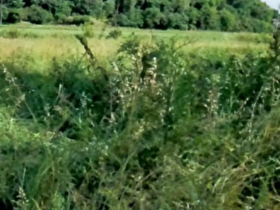 Immagine 7 di Terreno edificabile in vendita  in Localita' Tramonte  a Teolo