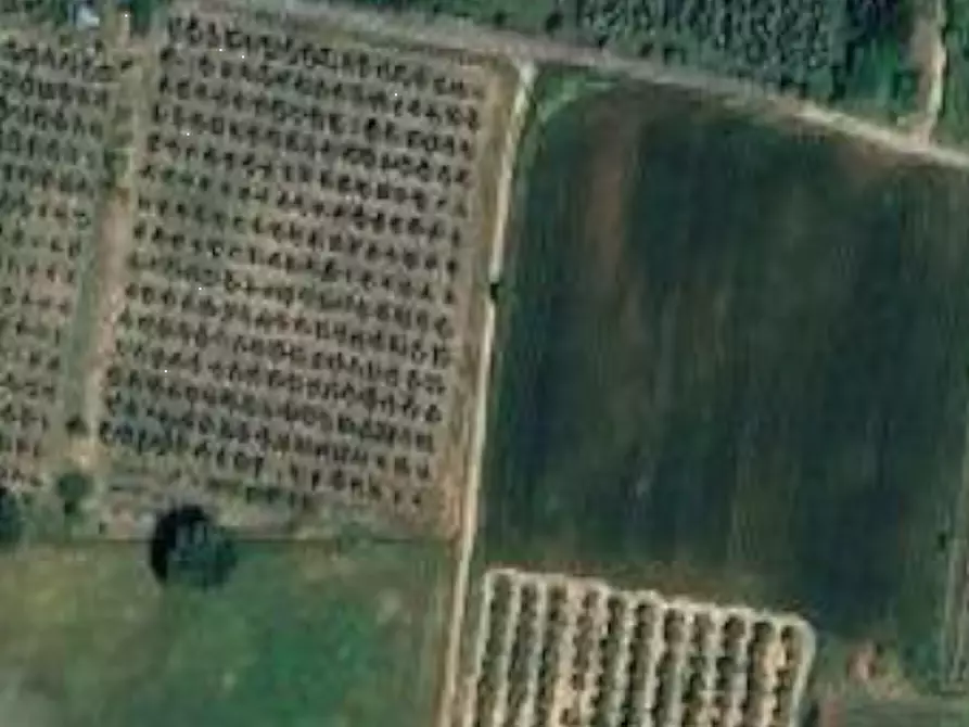 Immagine 12 di Ufficio in vendita  in Via Anton Giulio Bragaglia  a Roma