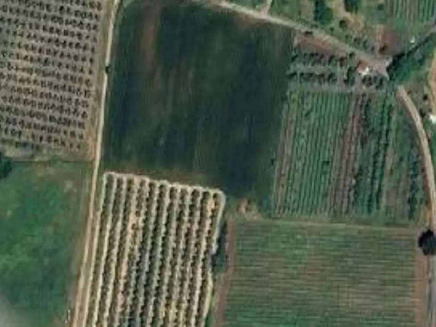 Immagine 1 di Ufficio in vendita  in Via Anton Giulio Bragaglia  a Roma