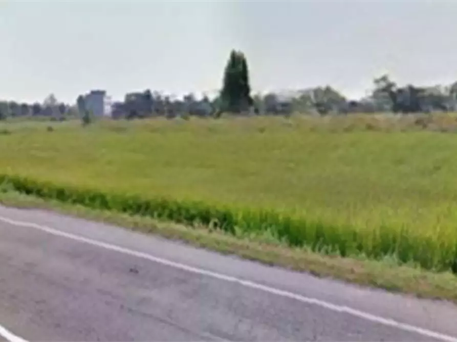 Immagine 1 di Terreno edificabile in vendita  in Via Alcide De Gasperi a Sannazzaro De' Burgondi