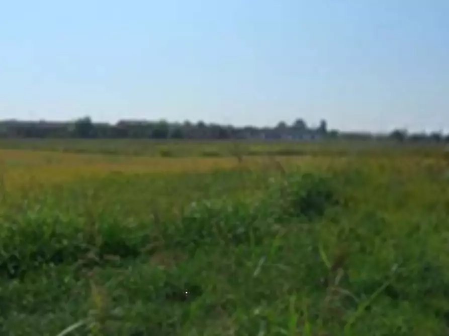 Immagine 4 di Terreno edificabile in vendita  in Via Alcide De Gasperi a Sannazzaro De' Burgondi