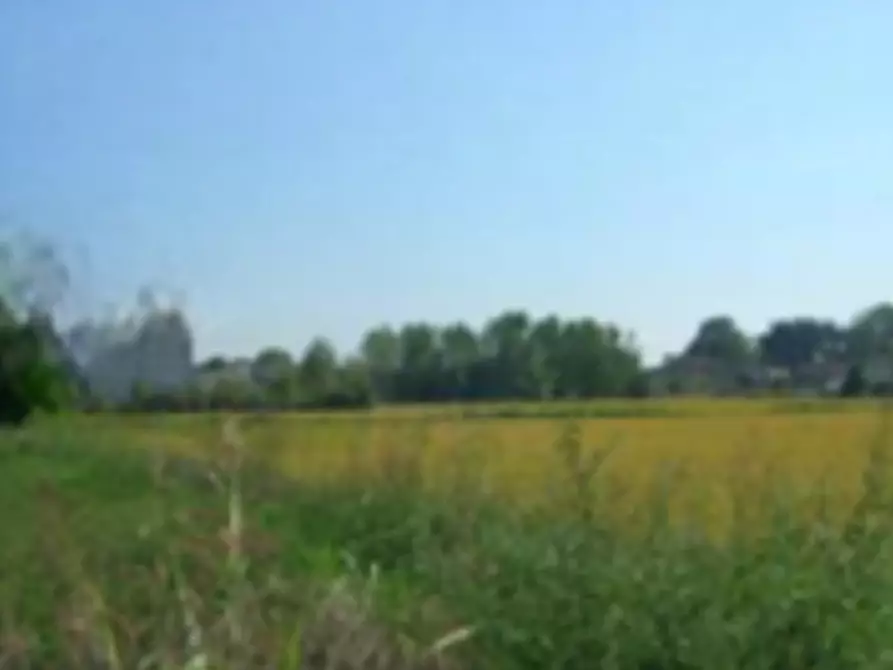 Immagine 5 di Terreno edificabile in vendita  in Via Alcide De Gasperi a Sannazzaro De' Burgondi