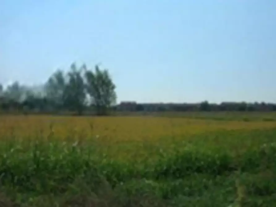 Immagine 6 di Terreno edificabile in vendita  in Via Alcide De Gasperi a Sannazzaro De' Burgondi