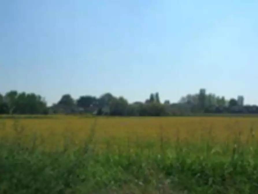 Immagine 7 di Terreno edificabile in vendita  in Via Alcide De Gasperi a Sannazzaro De' Burgondi