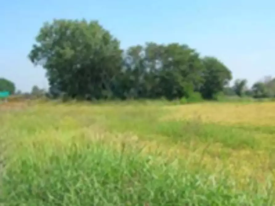 Immagine 8 di Terreno edificabile in vendita  in Via Alcide De Gasperi a Sannazzaro De' Burgondi
