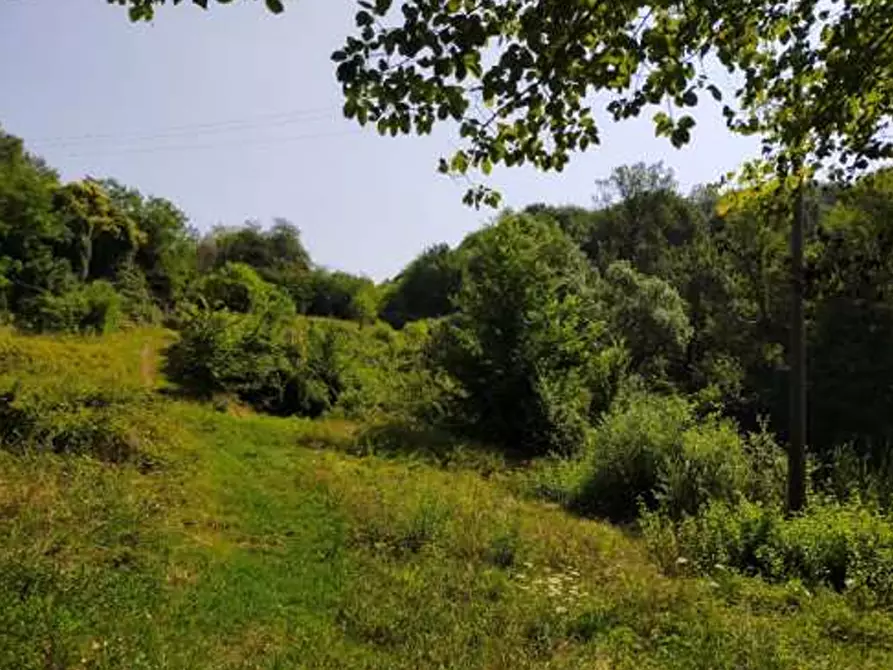 Immagine 1 di Terreno agricolo in vendita  in Comune di San Zenone degli Ezzelini a San Zenone Degli Ezzelini