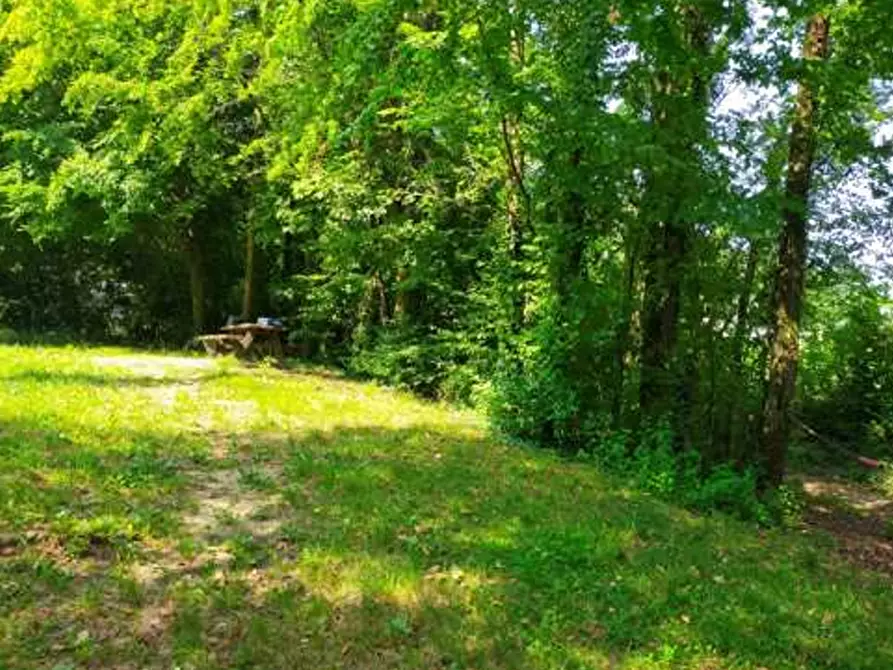 Immagine 2 di Terreno agricolo in vendita  in Comune di San Zenone degli Ezzelini a San Zenone Degli Ezzelini