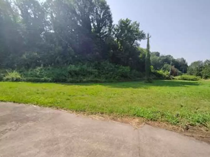 Immagine 3 di Terreno agricolo in vendita  in Comune di San Zenone degli Ezzelini a San Zenone Degli Ezzelini