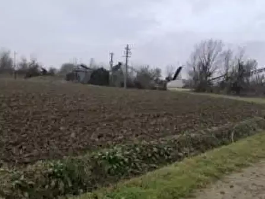 Immagine 1 di Terreno agricolo in vendita  in Località Arena Po a Arena Po