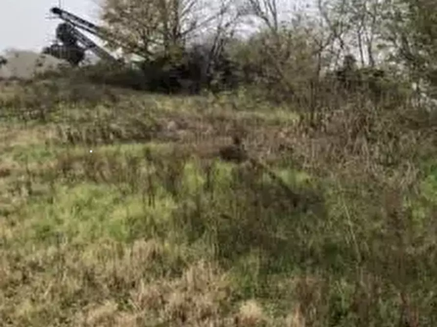 Immagine 2 di Terreno agricolo in vendita  in Località Arena Po a Arena Po