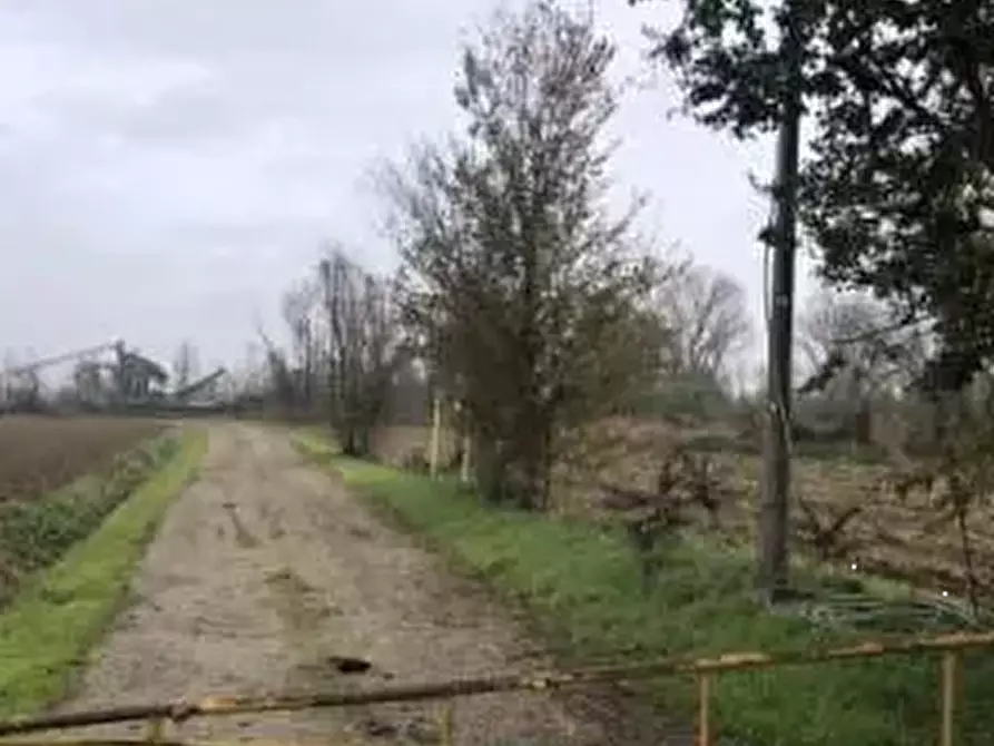 Immagine 3 di Terreno agricolo in vendita  in Località Arena Po a Arena Po