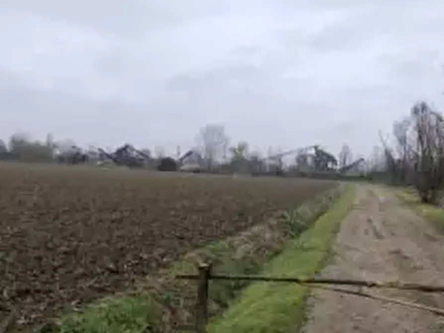 Immagine 4 di Terreno agricolo in vendita  in Località Arena Po a Arena Po