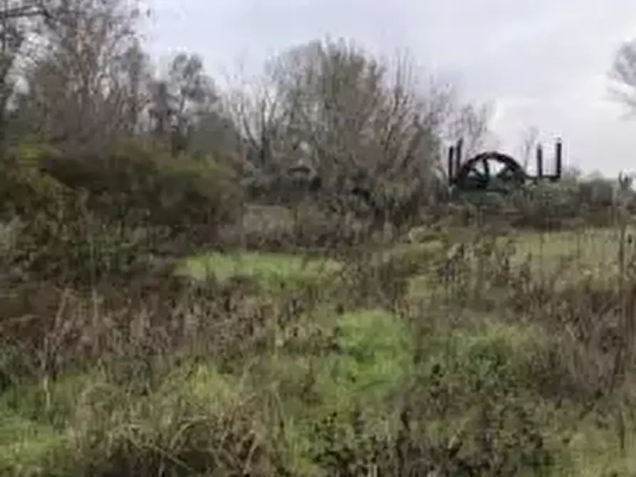 Immagine 6 di Terreno agricolo in vendita  in Località Arena Po a Arena Po