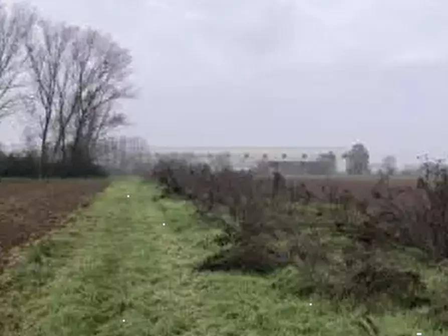 Immagine 1 di Terreno agricolo in vendita  in Località Chignolo Po a Chignolo Po