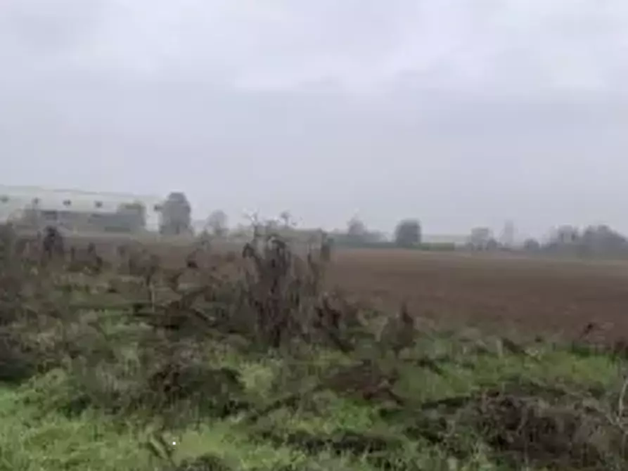 Immagine 2 di Terreno agricolo in vendita  in Località Chignolo Po a Chignolo Po