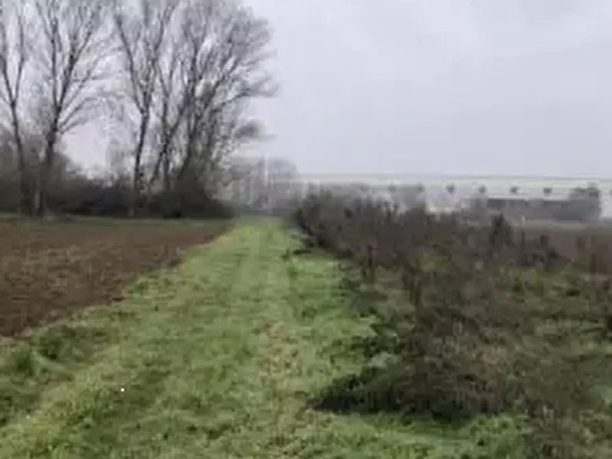 Immagine 3 di Terreno agricolo in vendita  in Località Chignolo Po a Chignolo Po
