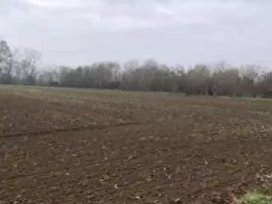 Immagine 5 di Terreno agricolo in vendita  in Località Chignolo Po a Chignolo Po