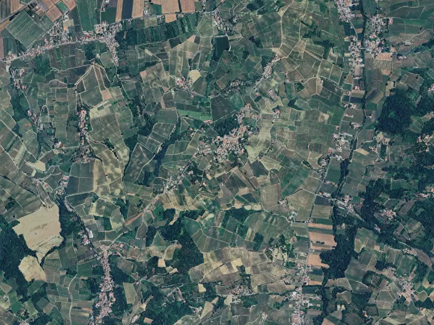 Immagine 2 di Terreno agricolo in vendita  in Localita' Cigognola a Cigognola