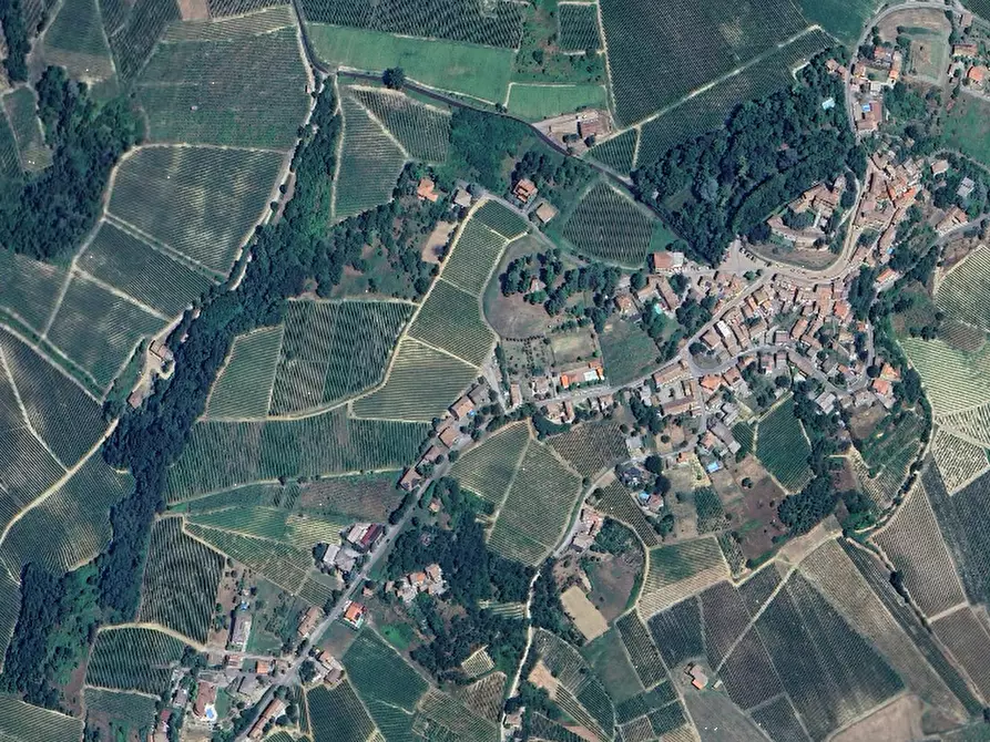 Immagine 3 di Terreno agricolo in vendita  in Localita' Cigognola a Cigognola