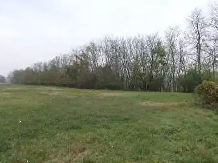 Immagine 3 di Terreno agricolo in vendita  in Via Giotto a Rivanazzano
