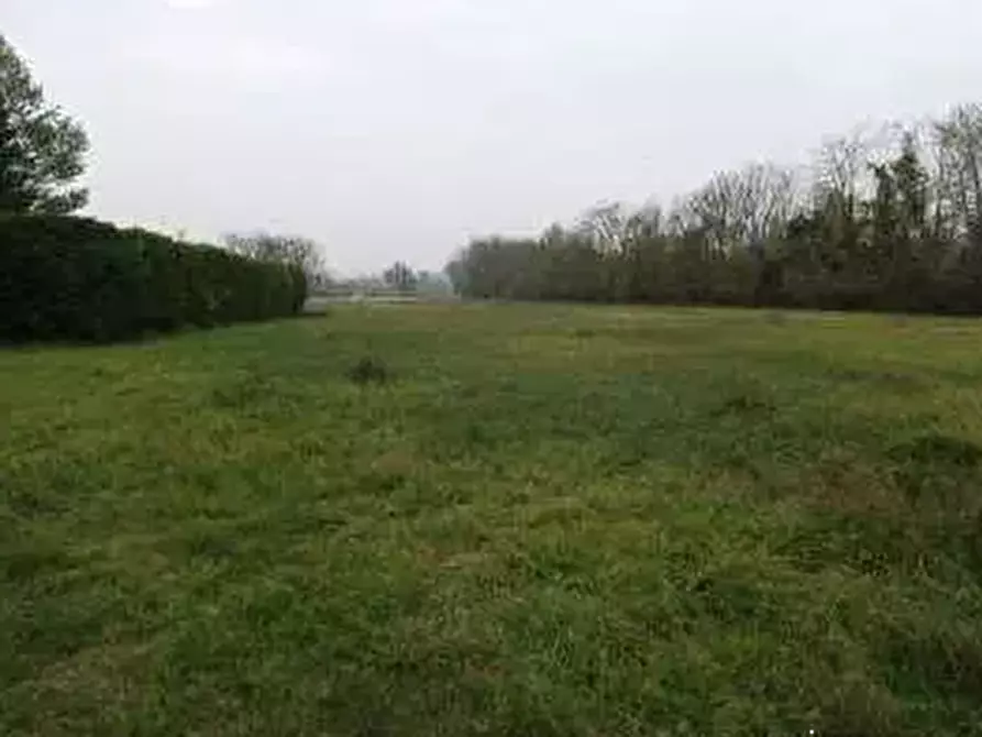 Immagine 4 di Terreno agricolo in vendita  in Via Giotto a Rivanazzano