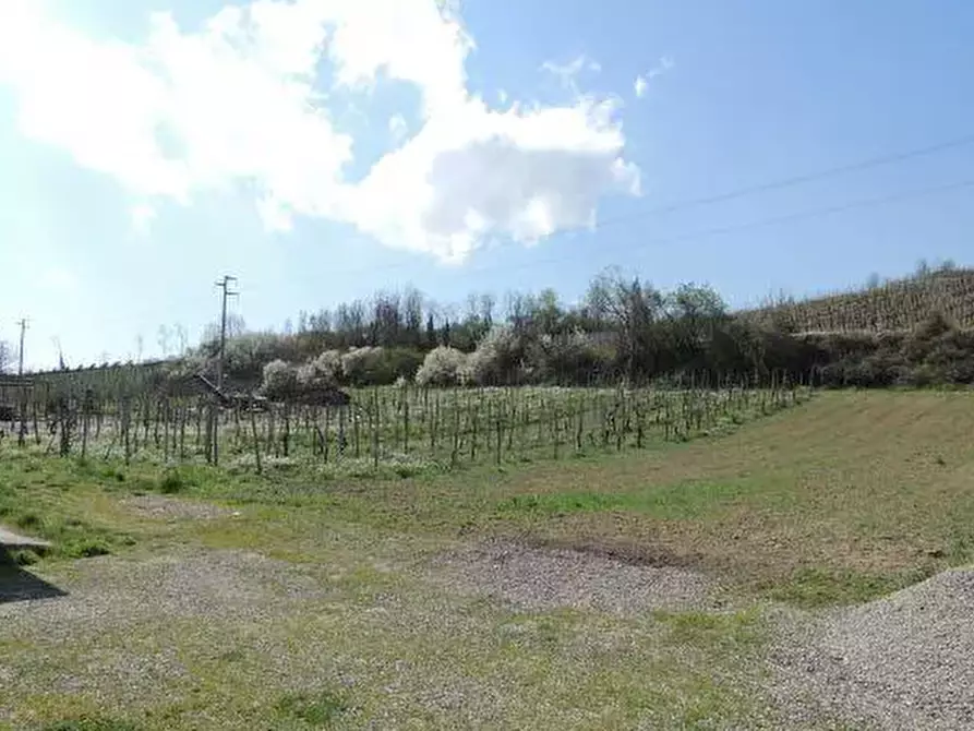 Immagine 8 di Casa indipendente in vendita  in Via Vallescuropasso a Cigognola