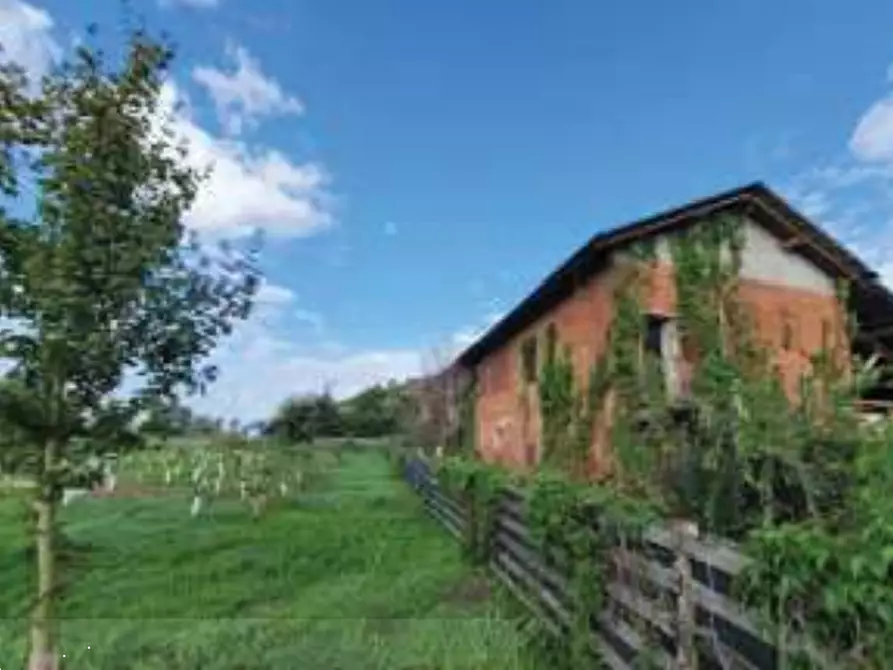 Immagine 19 di Stabile in vendita  in Via G. Rossa a Noviglio