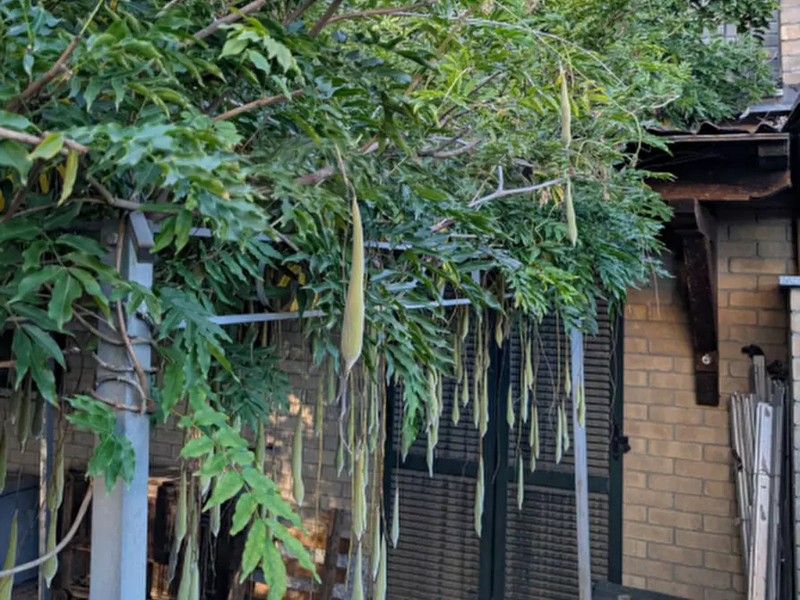 Immagine 3 di Villa in vendita  in Strada dell'arcone a Voghera