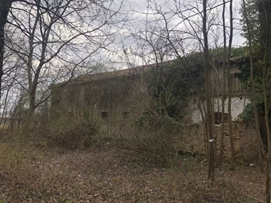 Immagine 1 di Rustico / casale in vendita  in Via Comunale DI Fae' a Oderzo