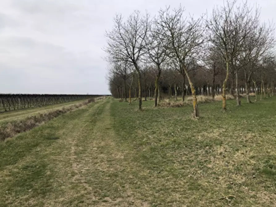 Immagine 7 di Rustico / casale in vendita  in Via Comunale DI Fae' a Oderzo