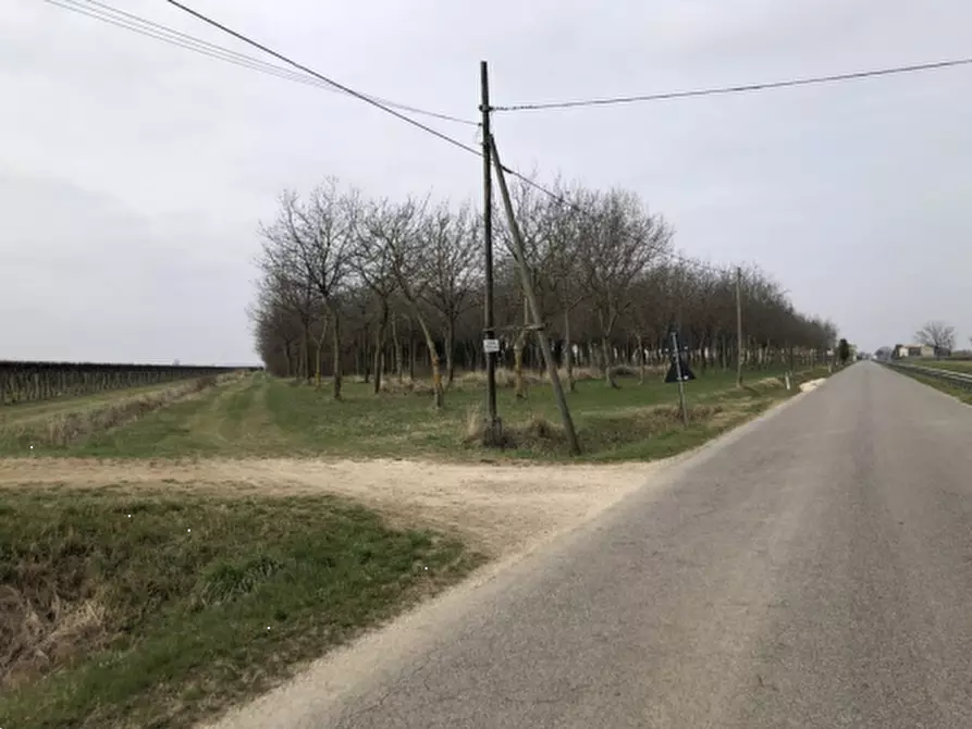 Immagine 8 di Rustico / casale in vendita  in Via Comunale DI Fae' a Oderzo