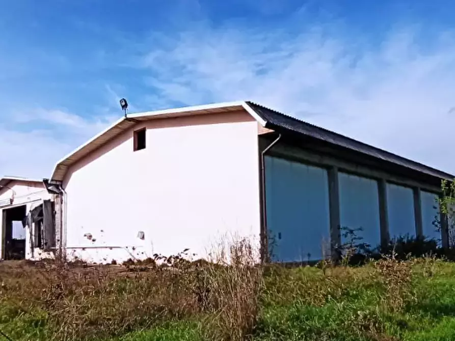 Immagine 5 di Capannone industriale in vendita  in Via Erbatici a Campospinoso