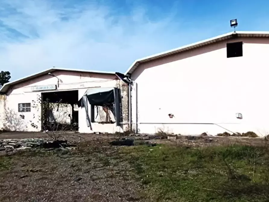 Immagine 6 di Capannone industriale in vendita  in Via Erbatici a Campospinoso