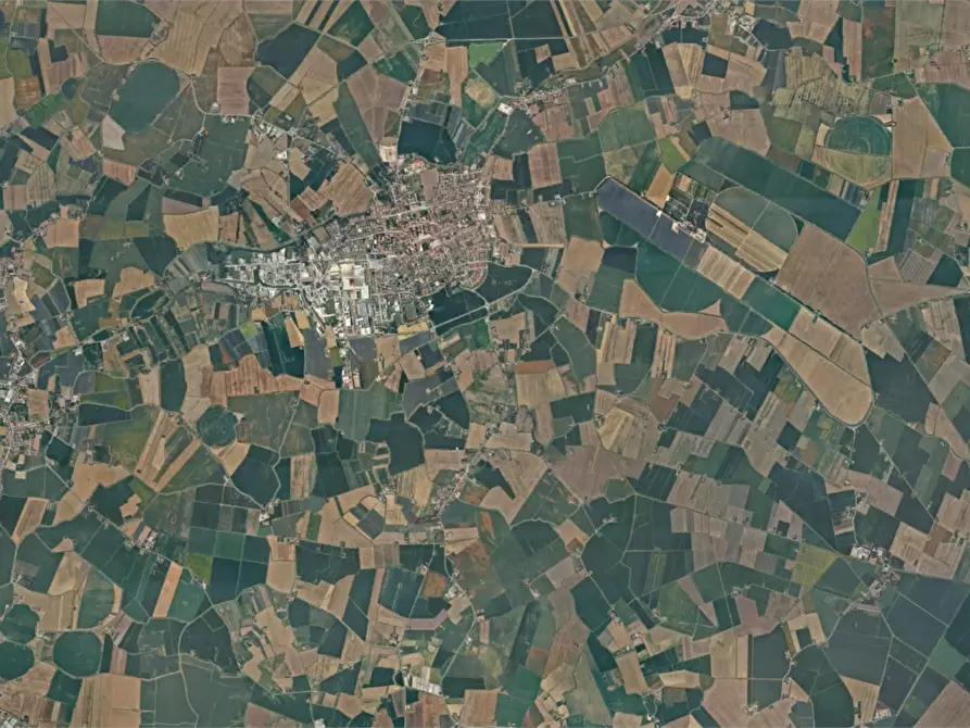 Immagine 3 di Capannone industriale in vendita  in Via del Lavoro  a Copparo